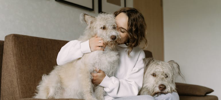 A woman petting her dogs on a moving day in Ontario with pets.