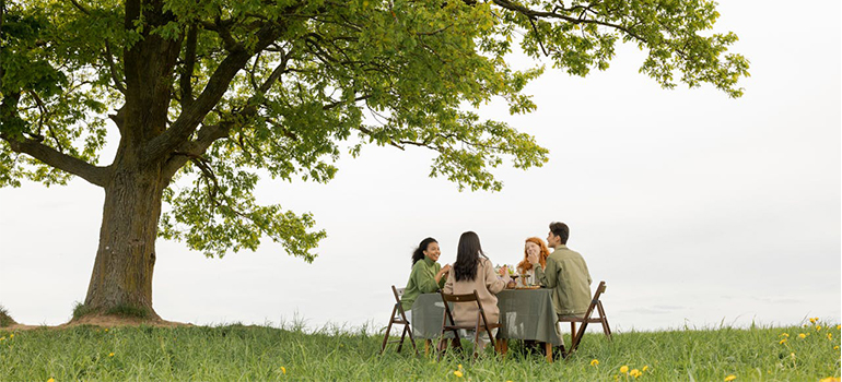 park picnic
