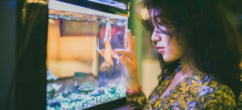 woman moving an aquarium in Sudbury