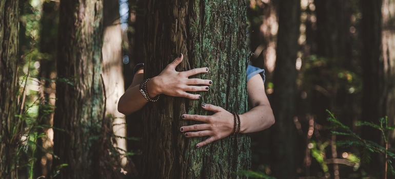hugging a tree